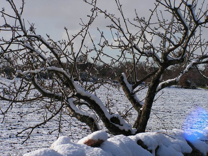 Neve su Murge